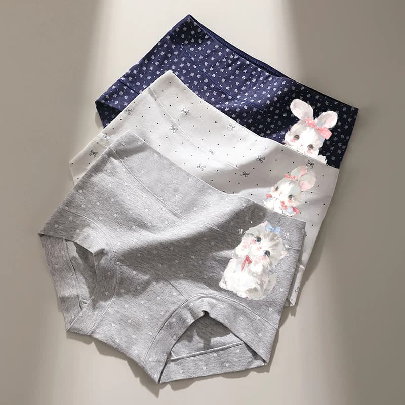 High Shims Panties Breathable Seamless Panties for Women Retro Cartoon Women's Briefs Underwear Lady Lingerie Sexy Plus Size