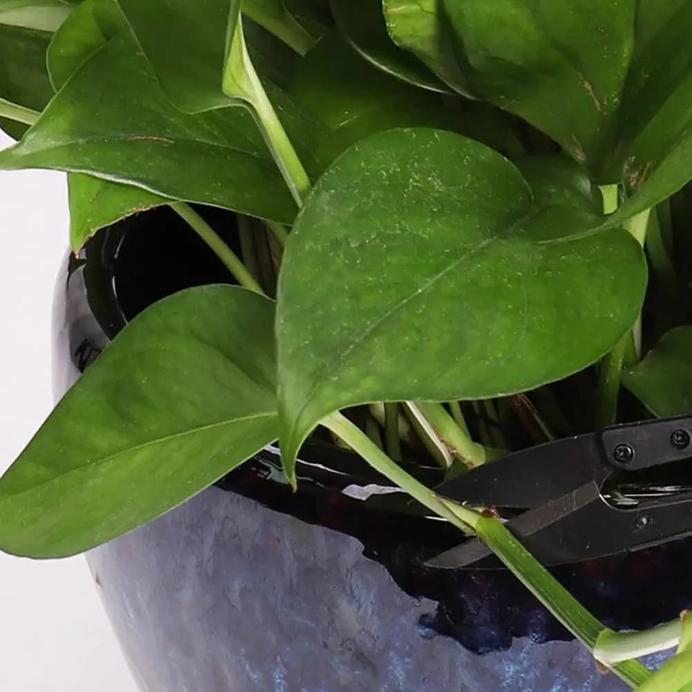 Set di 12 Forbici Ergonomiche per Potatura Bonsai, Leggere e Compatte, per Fiori e Foglie