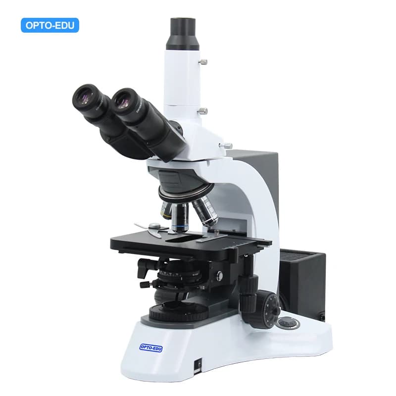 OPTO -EDU A12.1018 Microscopi composti con condensatore oscillante a contrasto di fase Quintuple