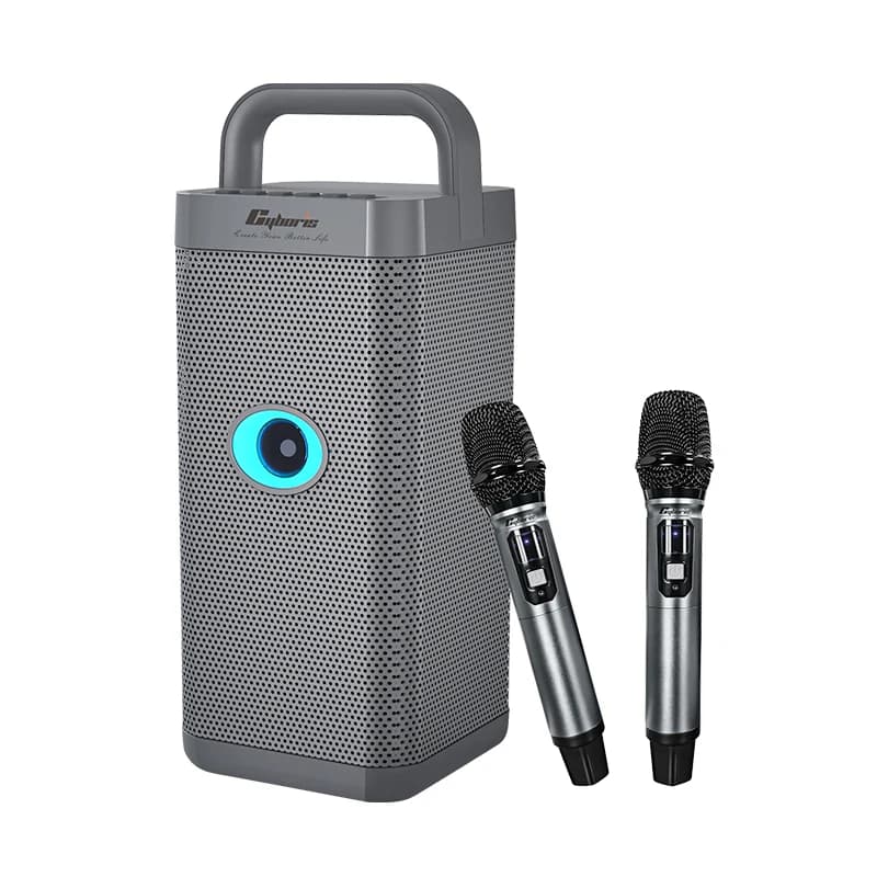 T26, 150W Karaoke Machine with 2 Wireless Mics, Portable Waterproof Outdoor Wireless Speaker, 2.1 Channel Subwoofer, TWS, 6.35MM