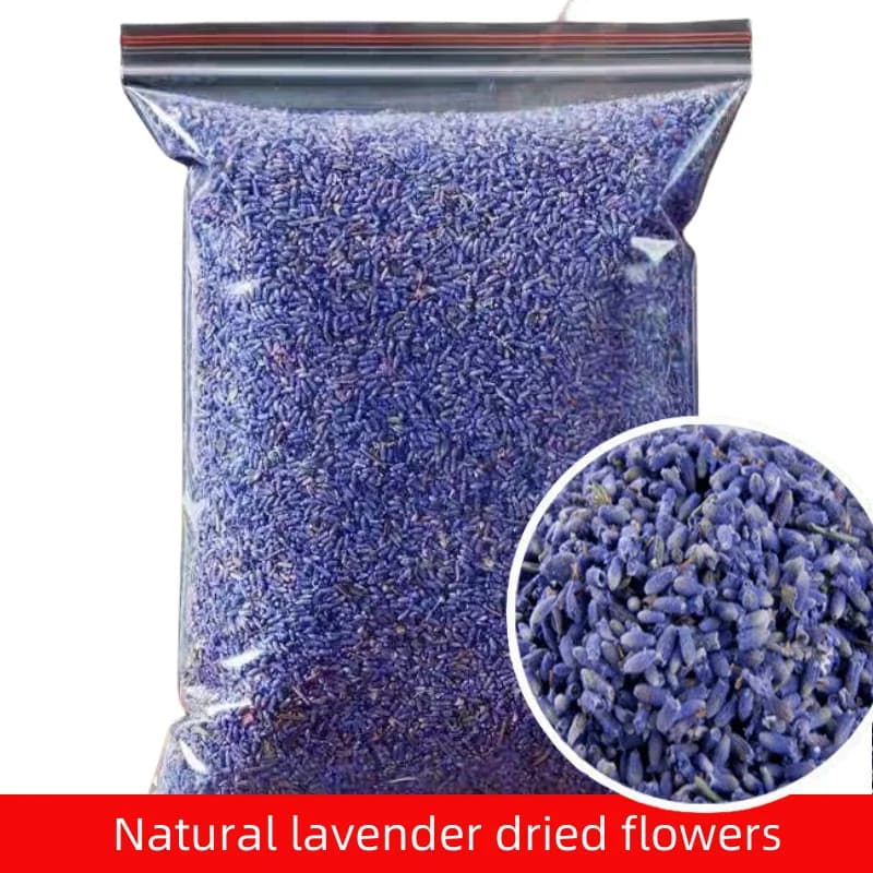 High Quality Natural Dried Flowers Indoor Perfume Lavender For Sachet Pillow Filling Handicrafts Candle Soap Making Art Craft