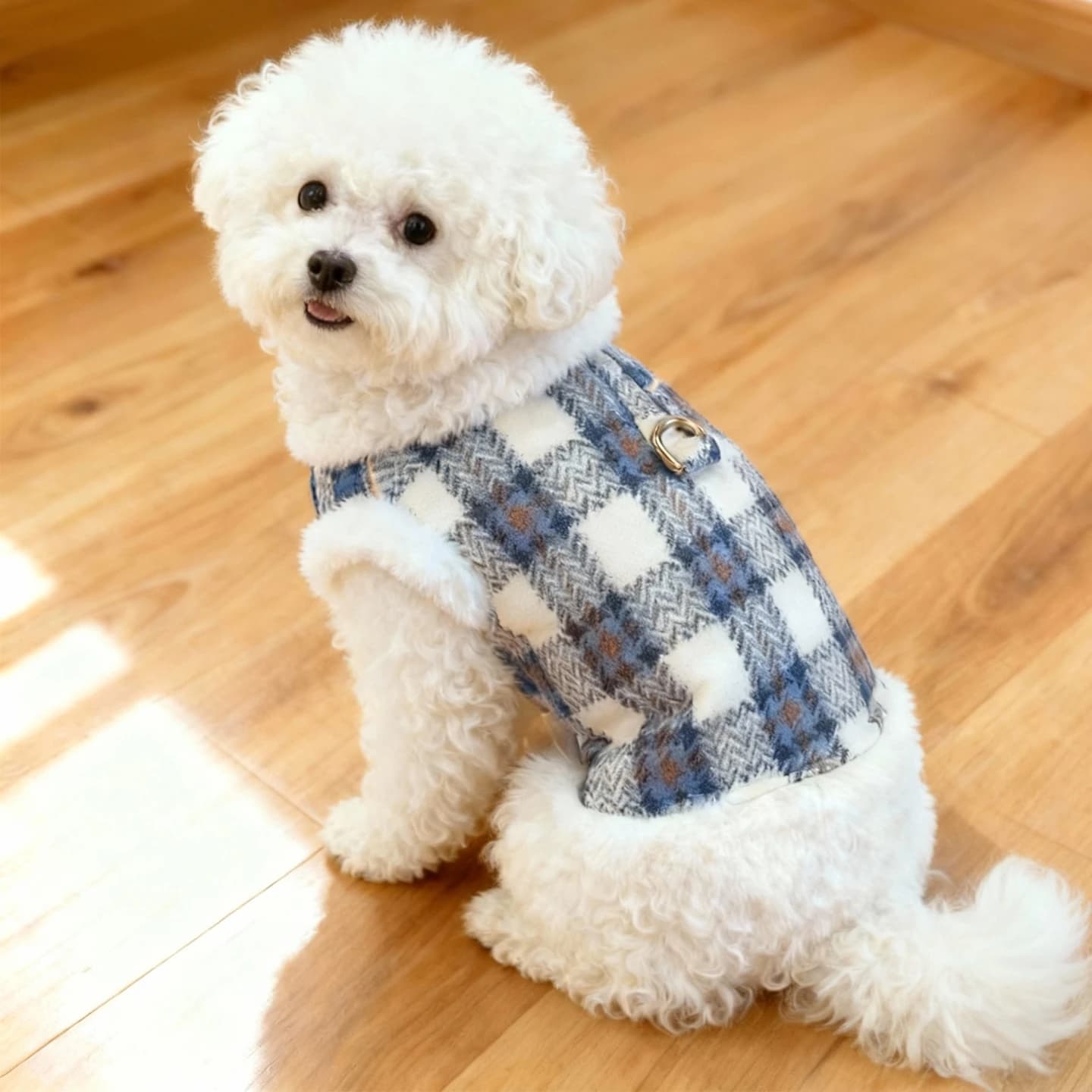 Thickened Woolen Plaid Dog Vest Pet Clothes for Small Dogs And Cats Autumn Winter Seasonal Wearable Casual Style with Leash