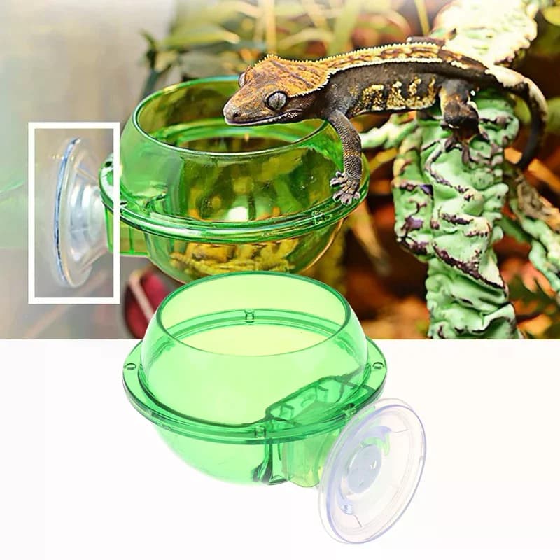 1pc Arboreal Rettile Live Anti-fuga Ventosa Ciotola di Alimentatore Insetto Verme Contenitore di Cibo Per Lucertola Gecko Camaleonte Rettile Pet Ciotola