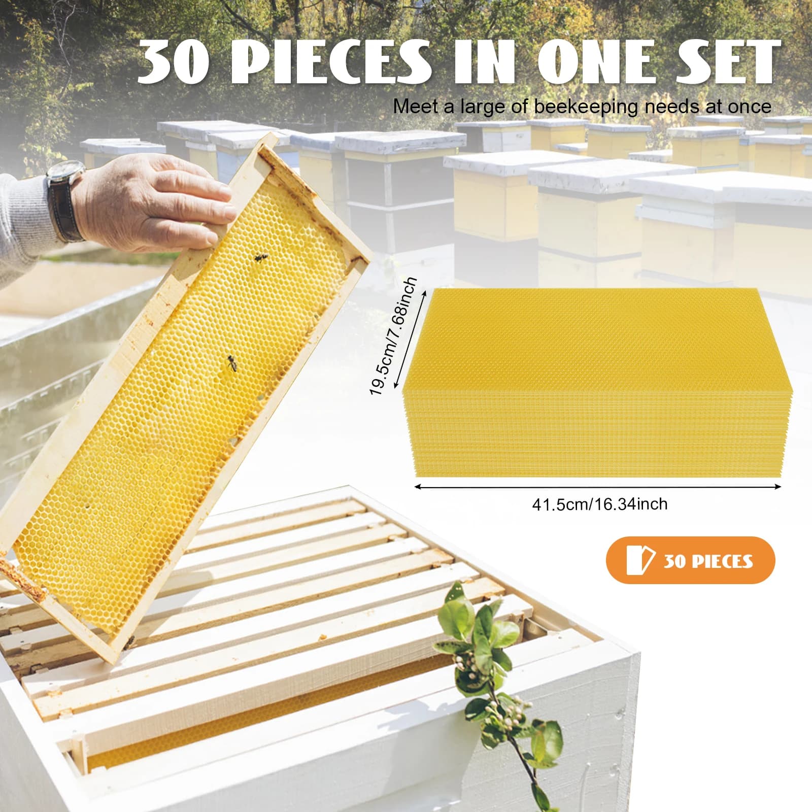 Fondotinta Bee Hive da 30 pezzi per apicoltori: accelera la crescita della colonia e migliora il rendimento del miele con una forte struttura della milza