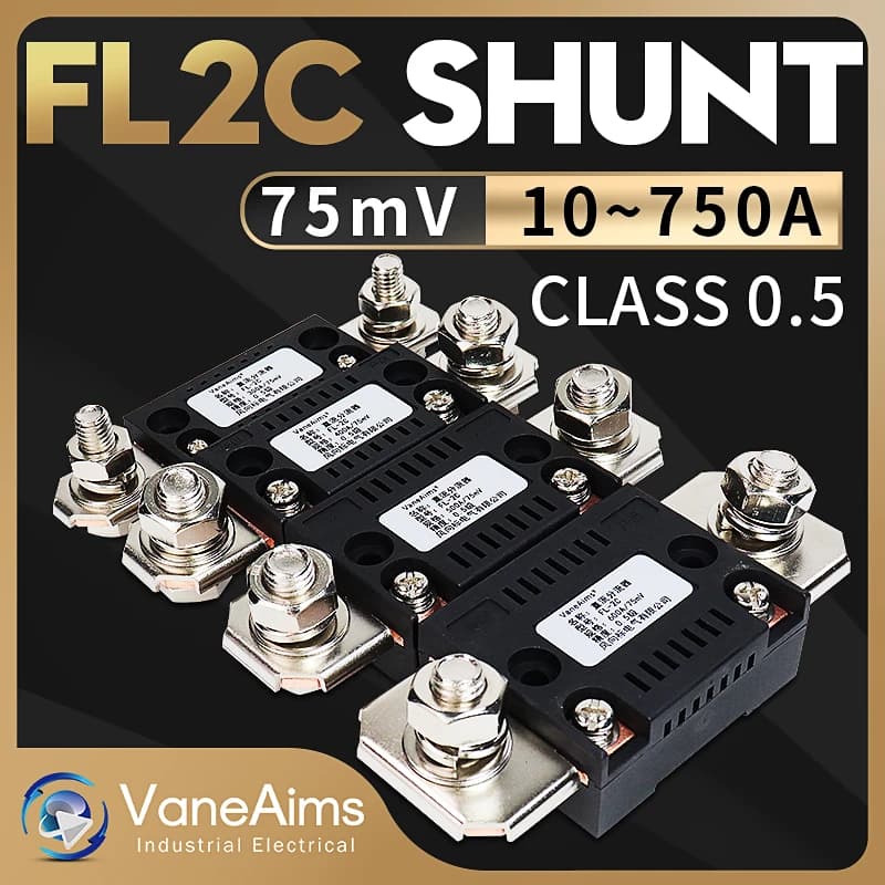VaneAims FL-2C Shunt 300A 150A 100A 75A 50A 30A 10A 75mV DC Amperometro Shunt Resistore per voltmetro digitale Misuratore di corrente analogico