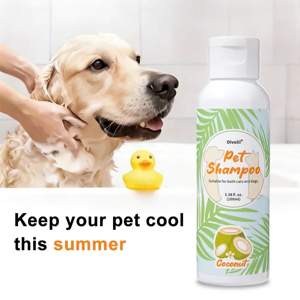 Gel Doccia per Animali Domestici, Shampoo per Cani a Pelo Lungo, Profumo Fresco, Detergente, Idratante, Deodorante, per un Pelo Pulito, Liscio e Lucente con Aroma di Cocco