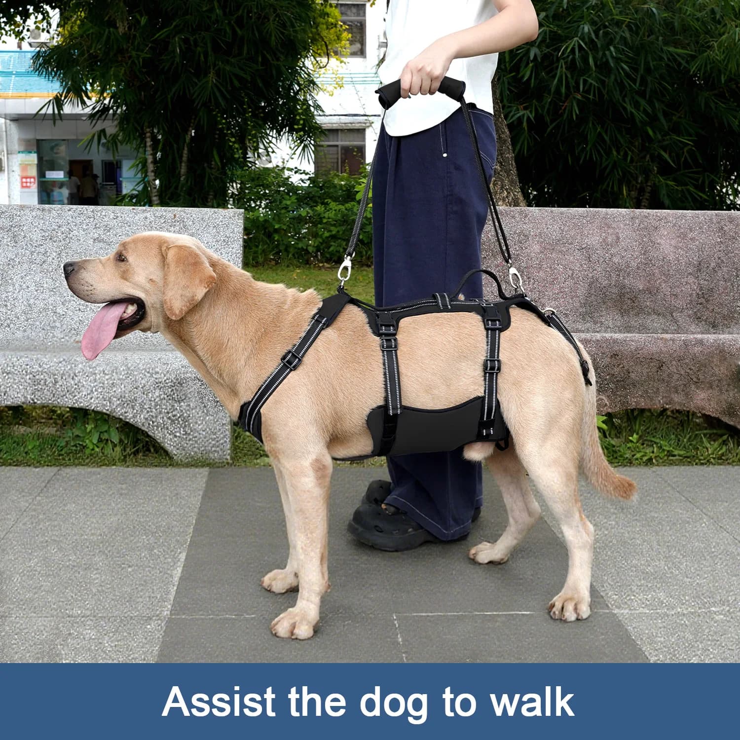 COODEO Supporto Lombare Regolabile per Cani con 8 Strisce in Plastica per Protezione della Colonna Vertebrale e Recupero Post-Operatorio