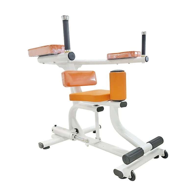 Commercial Rehabilitation Fitness Equipment Hydraulic Cylinder Torso Rotating Machine Abdominal Life Torso Trainer 2
