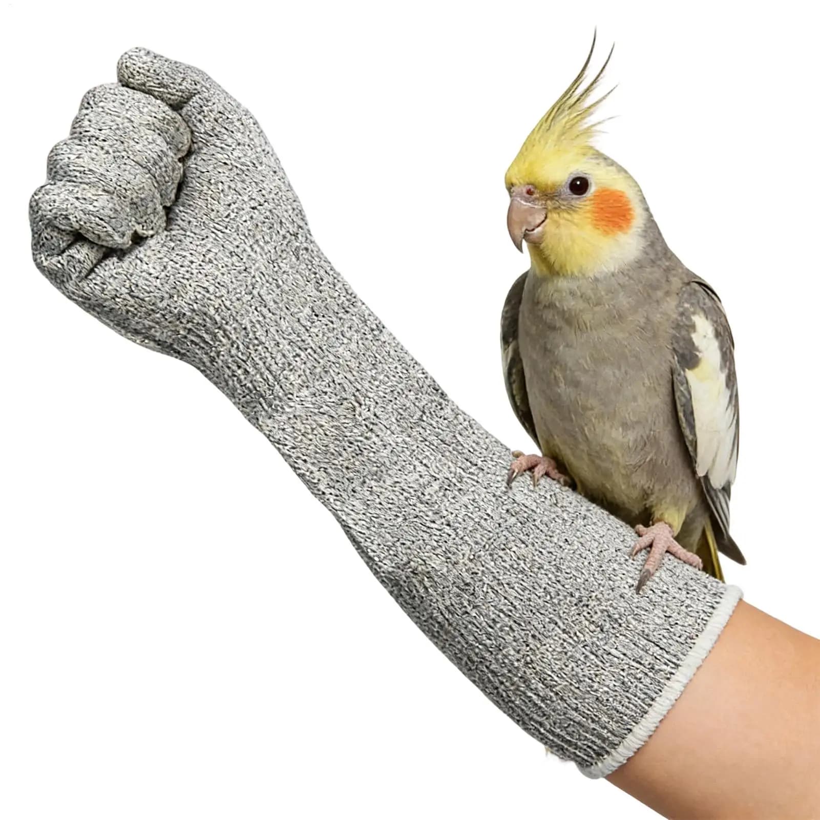 Guanti Anti-Morso per Gatti, Resistenti a Graffi e Forature, in Pelle Robusta per la Manipolazione di Animali Domestici, Toelettatura, Veterinaria, Falconeria, Uccelli e Pappagalli