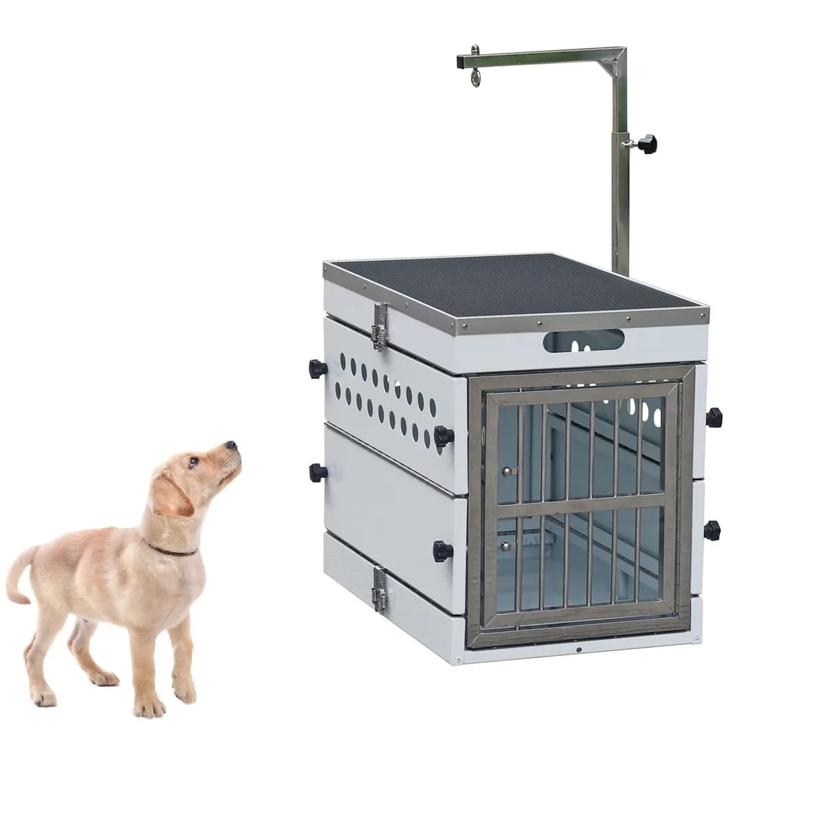 Trasportino Portatile per Animali Domestici Approvato dalle Compagnie Aeree, Migliore Trasportino con Ruote Approvato dalle Compagnie Aeree