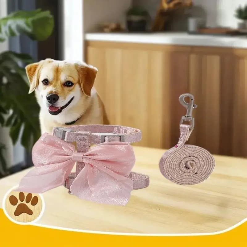 1PC Guinzaglio per gatti Bowknot Pettorina per gatti Gilet Guinzaglio da passeggio Imbracatura per gatti regolabile per busto 29-46 cm Corda da passeggio per cani gatto 120 cm