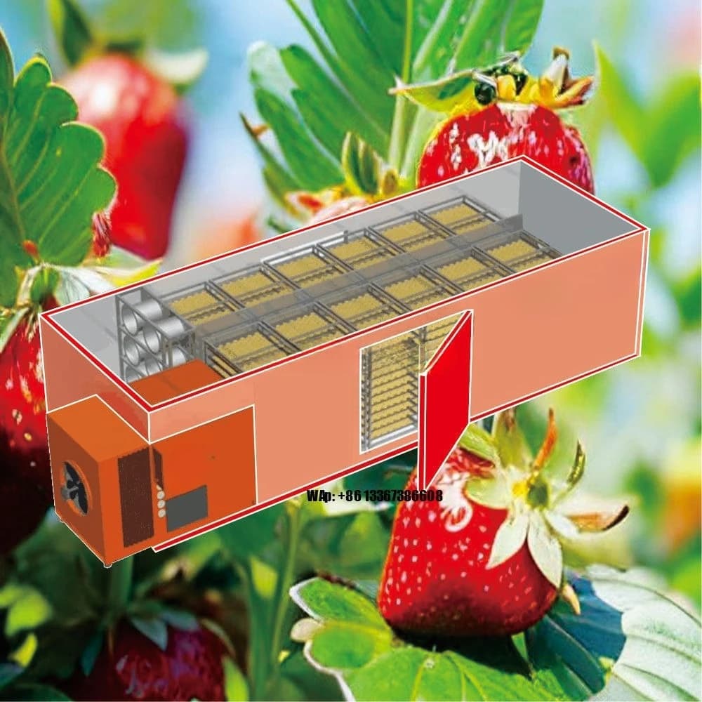 Essiccatore ad aria calda per carne, pompa di calore per frutta e verdura, disidratatore per fragole, deumidificatore industriale commerciale