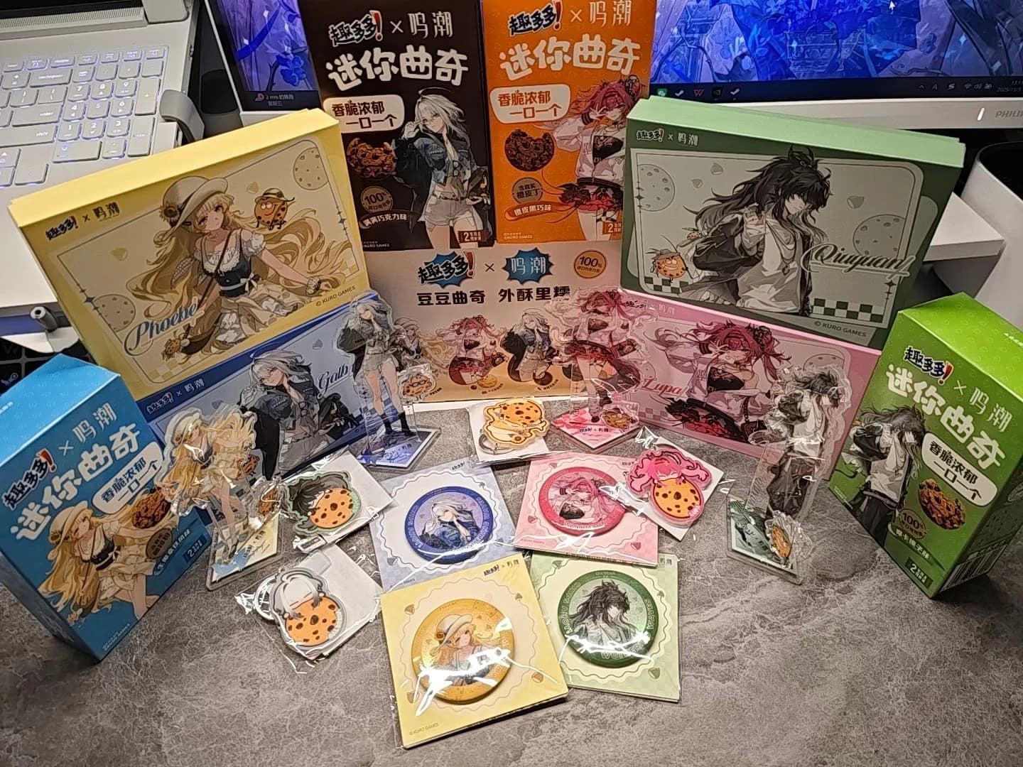 Wuthering Waves x GALBRENR Badge Storage Box Acrylic Stand Set - Phoebe QIUYUAN Lupa Official In StockPendant