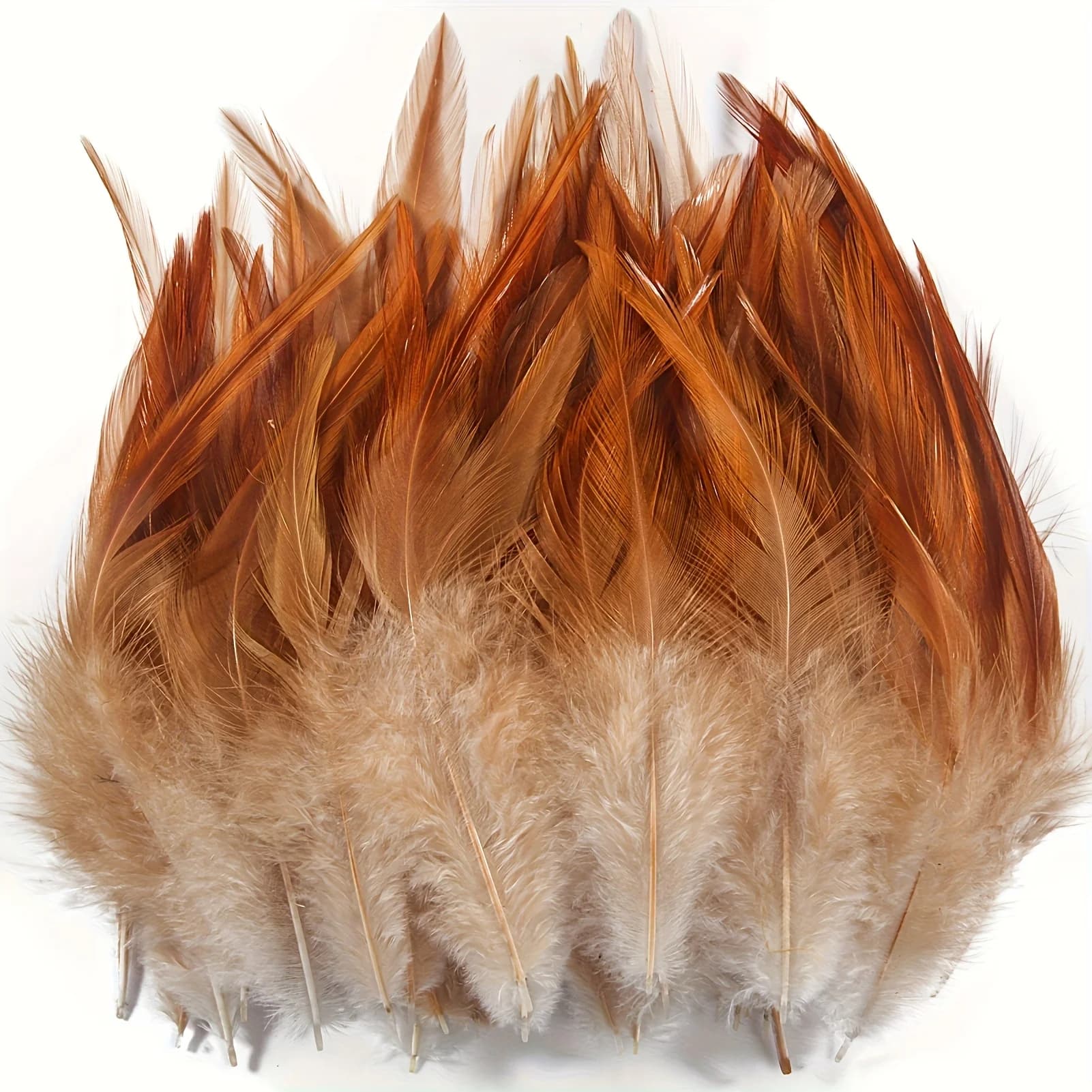 15-18cm Chicken Feather Natural Rooster Feathers Fly-tying Material Cock Plumas for Craft Dream Catcher Jewelry Decor