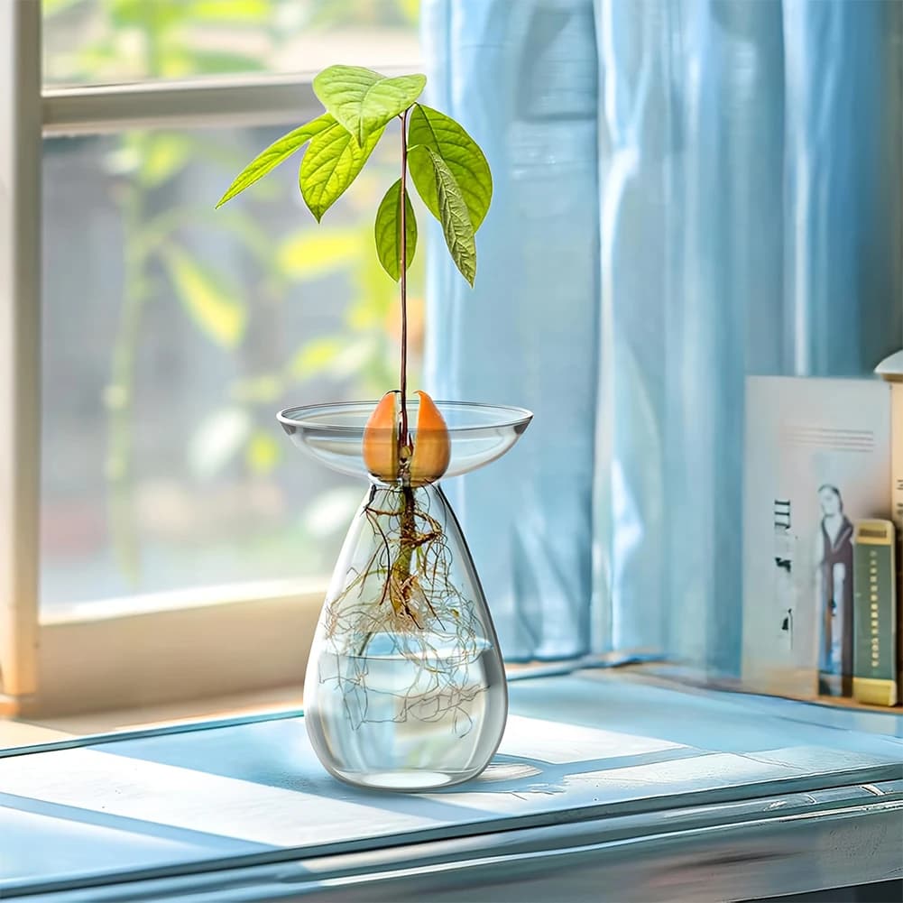 Avocado Seed Starter Vase Transparent Plant Propagation Station Glass Avocado Tree Flower Vase Gardening Lovers Home Decor
