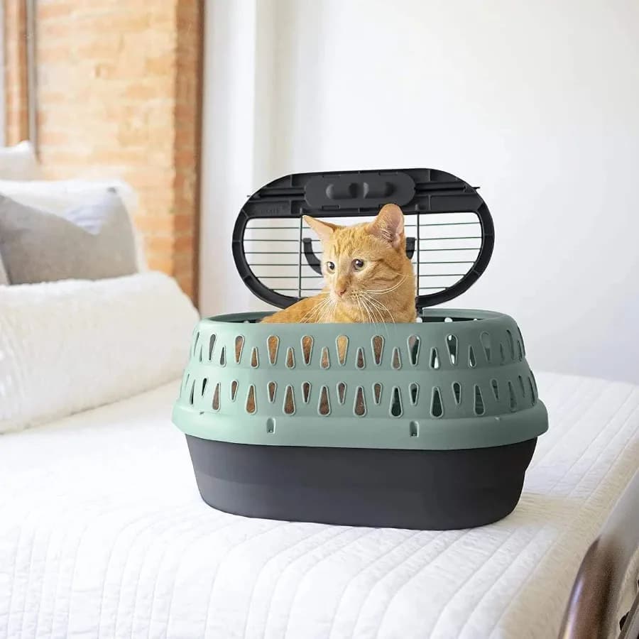 Two Door Top Load Cat Kennel Pet Carrier Small 19" for Pets up to 10 lb Green