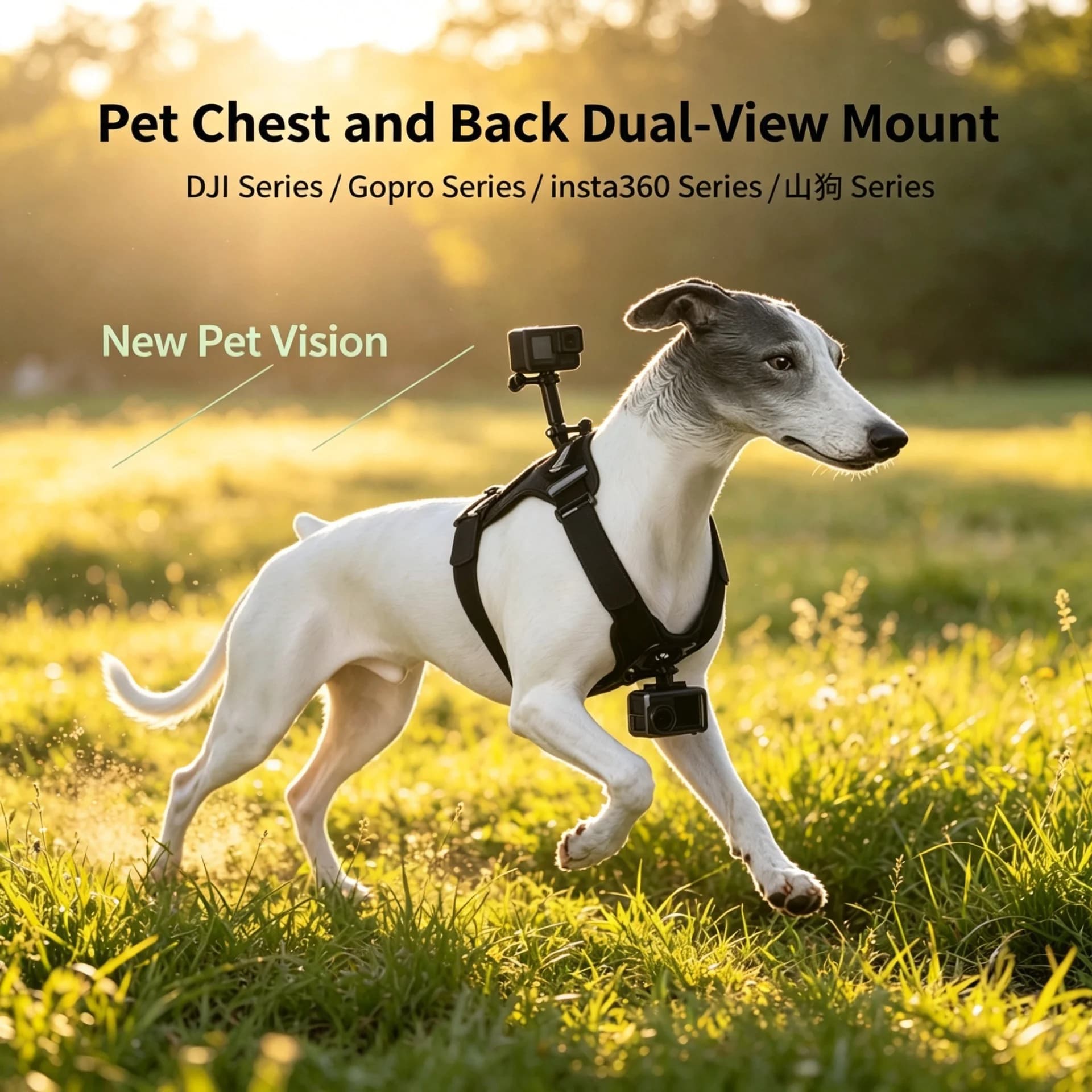 Pet Harness Chest Strap Mount Dog Cat Body Vest Belt POV Shooting Accessory for GoPro DJI Action Sports Camera