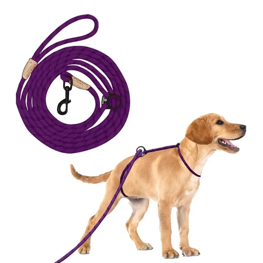 Guinzaglio per cani anti-trazione e anti-soffocamento, guinzaglio lungo a corda, guinzaglio anti-trazione, pettorina e guinzaglio per cani, guinzaglio per passeggiate, doppio gancio AM