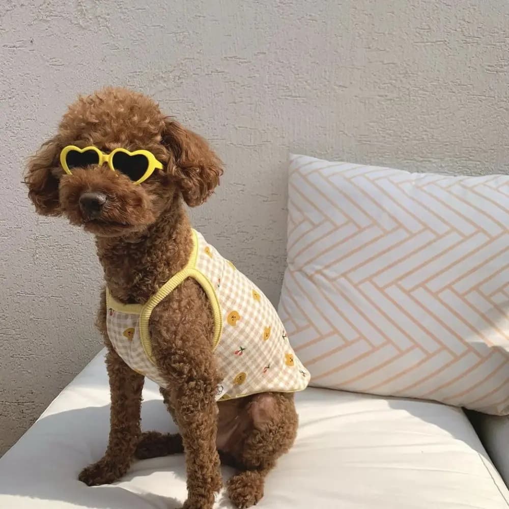 Occhiali a Forma di Cuore per Cuccioli, Accessori per Animali Domestici, Occhiali per Gatti, Decorazioni per Feste, Occhiali da Sole per Gatti