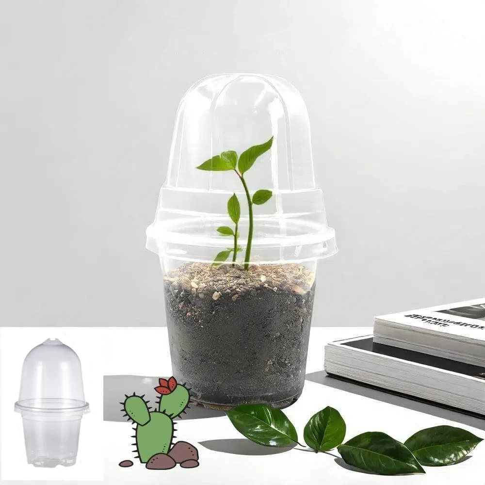 5 transparent jars for nursery with breathable lid, starting pot for seeds, flowering plant container, gardening, planting, nutritional cup