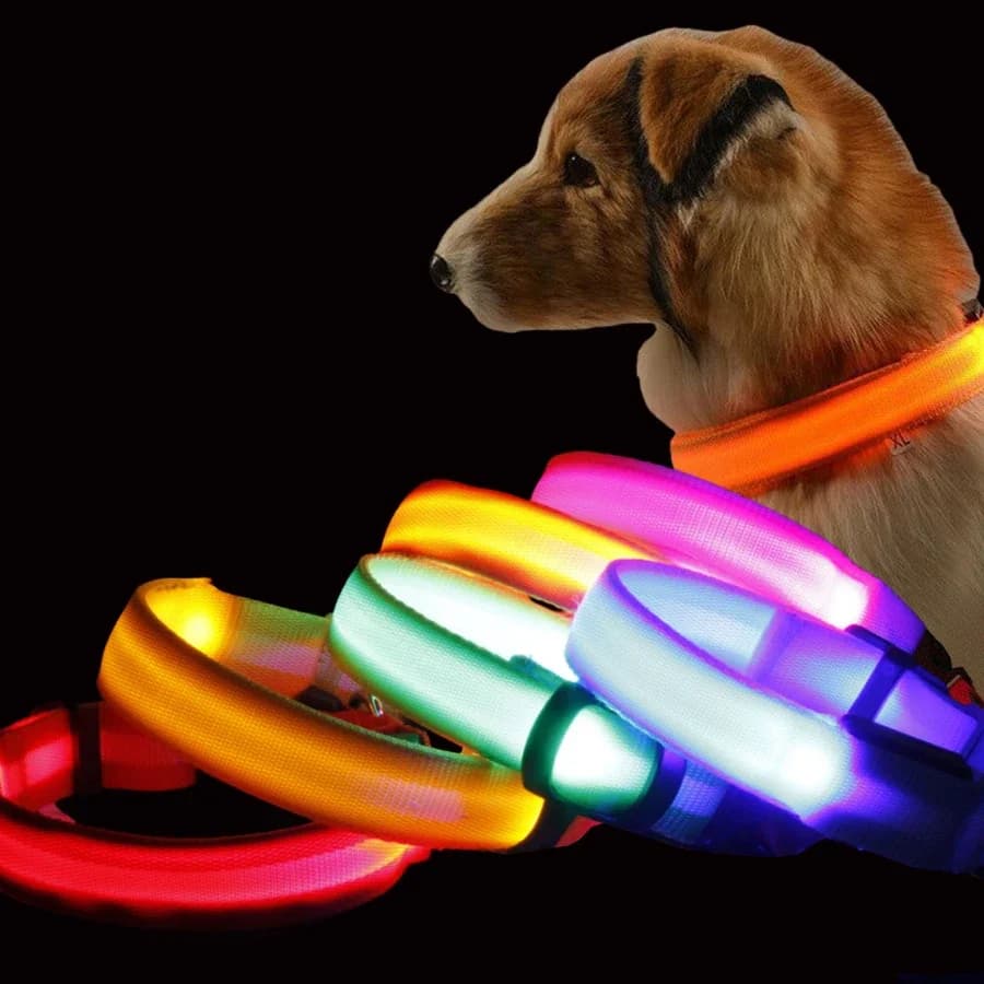 Collare per cani in nylon con LED di sicurezza notturna lampeggiante Guinzaglio che si illumina al buio Accessori per cani fluorescenti luminosi per la sicurezza degli animali domestici