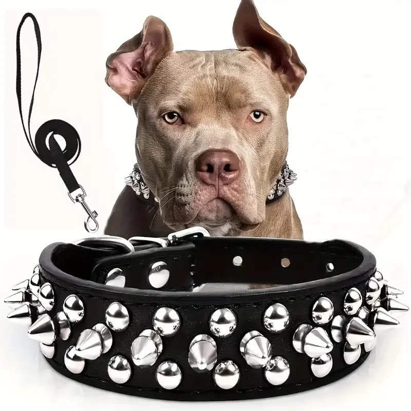 Set di collare e guinzaglio per cani con borchie, collare per cani in pelle con rivetti, collare regolabile per cani per passeggiate all'aperto