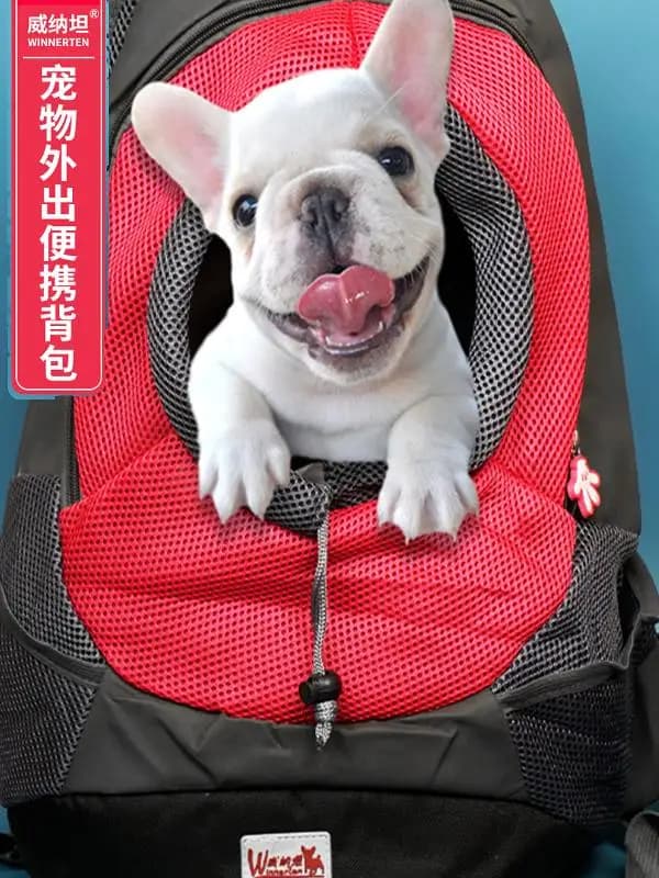 Zaino Portatile per Animali Domestici, Borsa da Viaggio Traspirante per Cani, Borsa da Trasporto per Gatti e Cani per Uso Quotidiano