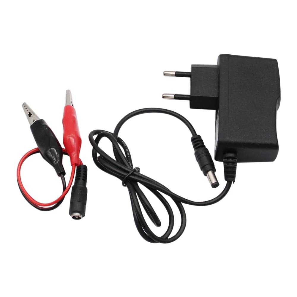 Caricabatteria a secco al piombo acido 12V 1000mA per auto moto 12 Volt 1A Strumento giocattolo elettrico Adattatore di ricarica per motore con clip
