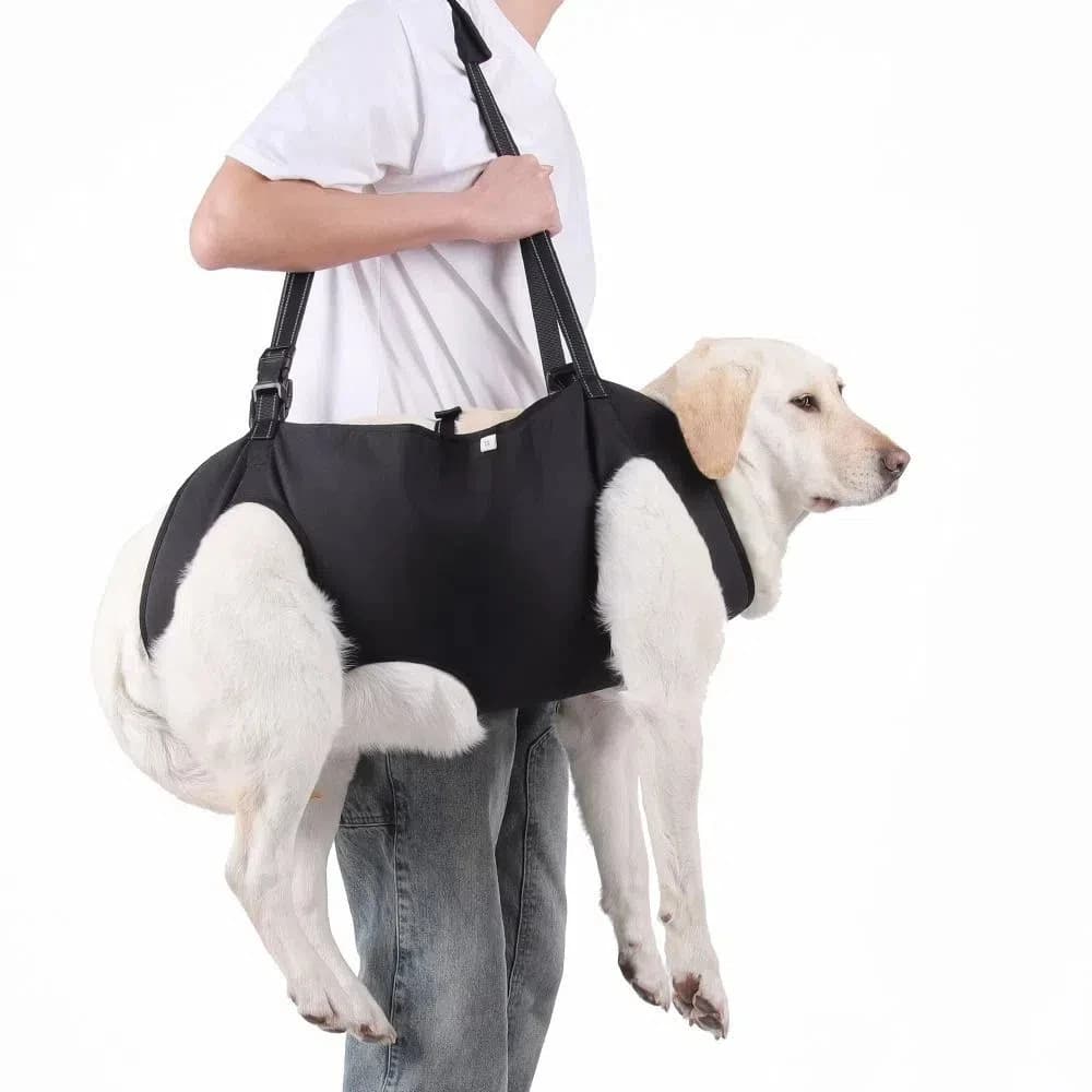 Cintura regolabile Imbracatura per sollevamento cani Maniglia addensata Supporto per gambe Supporto per imbracatura per cani Fodera morbida Gilet di sollevamento portatile per animali domestici