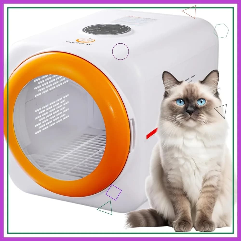 Asciugatrice per Animali Domestici con LED e Ioni Negativi, 360 ° Asciugacapelli Automatico per Cani e Gatti, Controllo Temperatura Touch