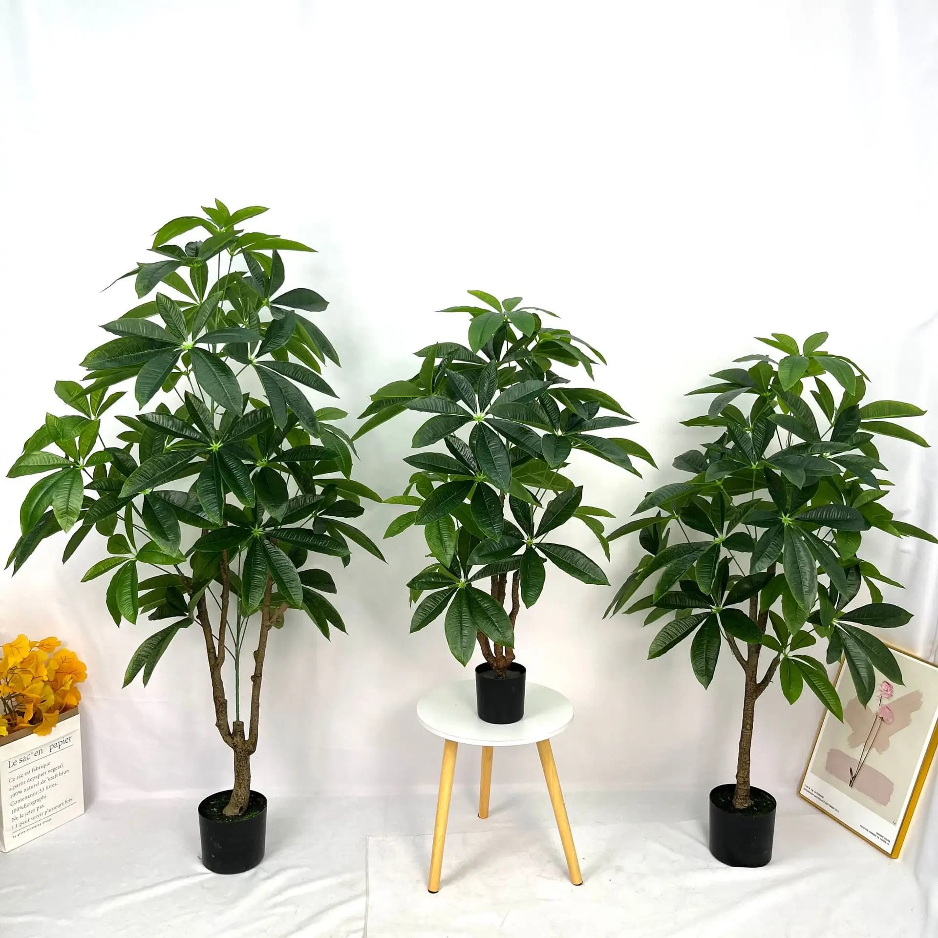 Grande pianta in vaso di piante verdi da terra, albero della fortuna simulato, pianta finta per decorazione dell'ufficio del soggiorno