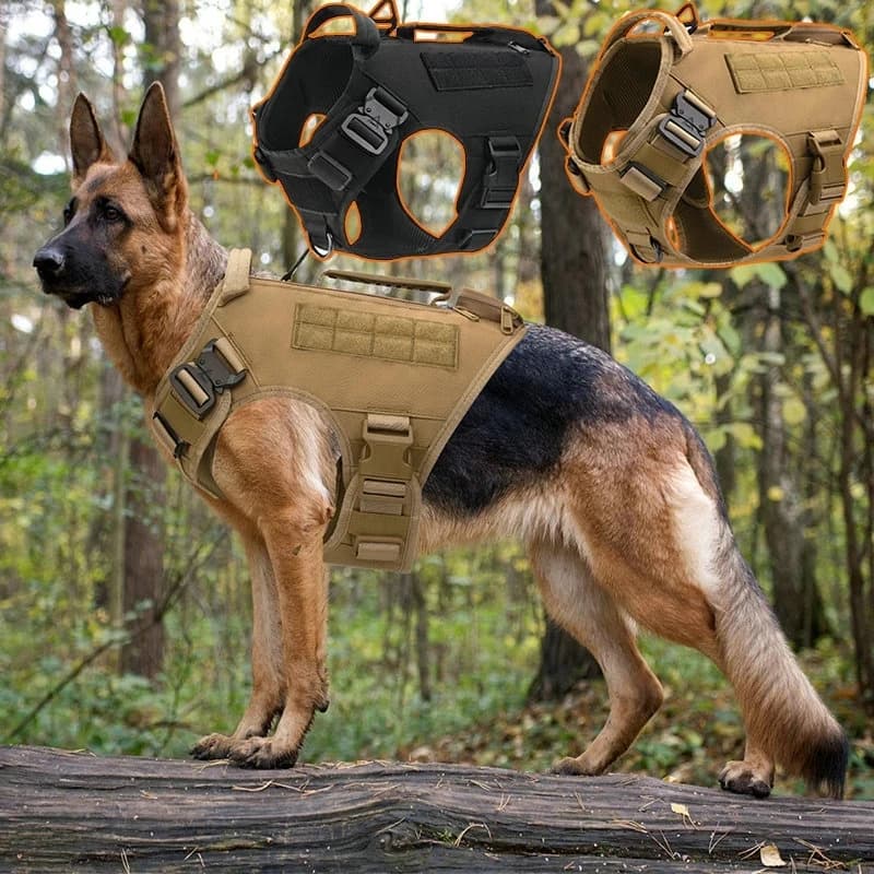Gilet per Cani Personalizzato Resistente da Esterno, Morbido e Regolabile, per Addestramento e Tattica