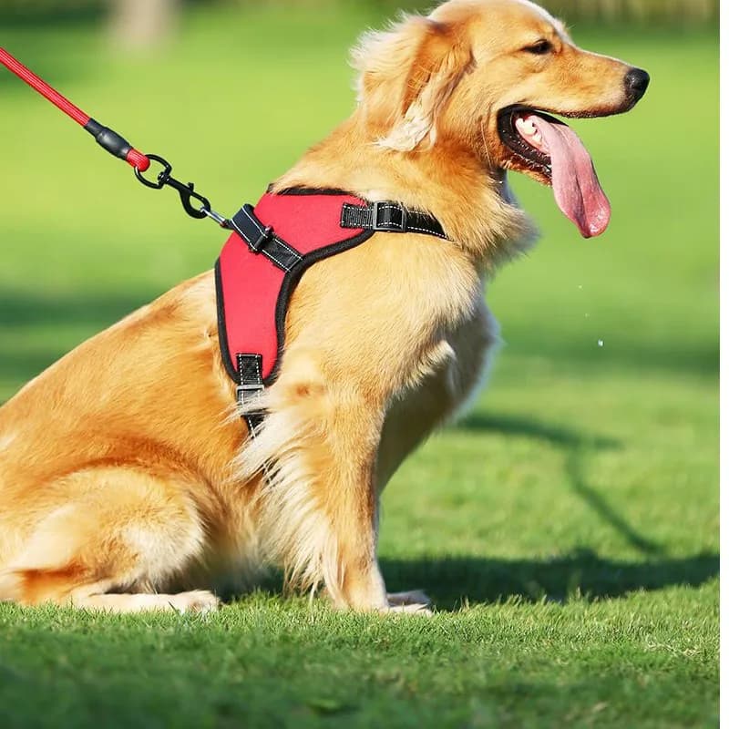 Nuovo Guinzaglio per Cani Domestici 2026, Traspirante e Semplice, Corda da Trazione Regolabile per Passeggiate all'Aperto, Accessori per Animali Domestici LJ240