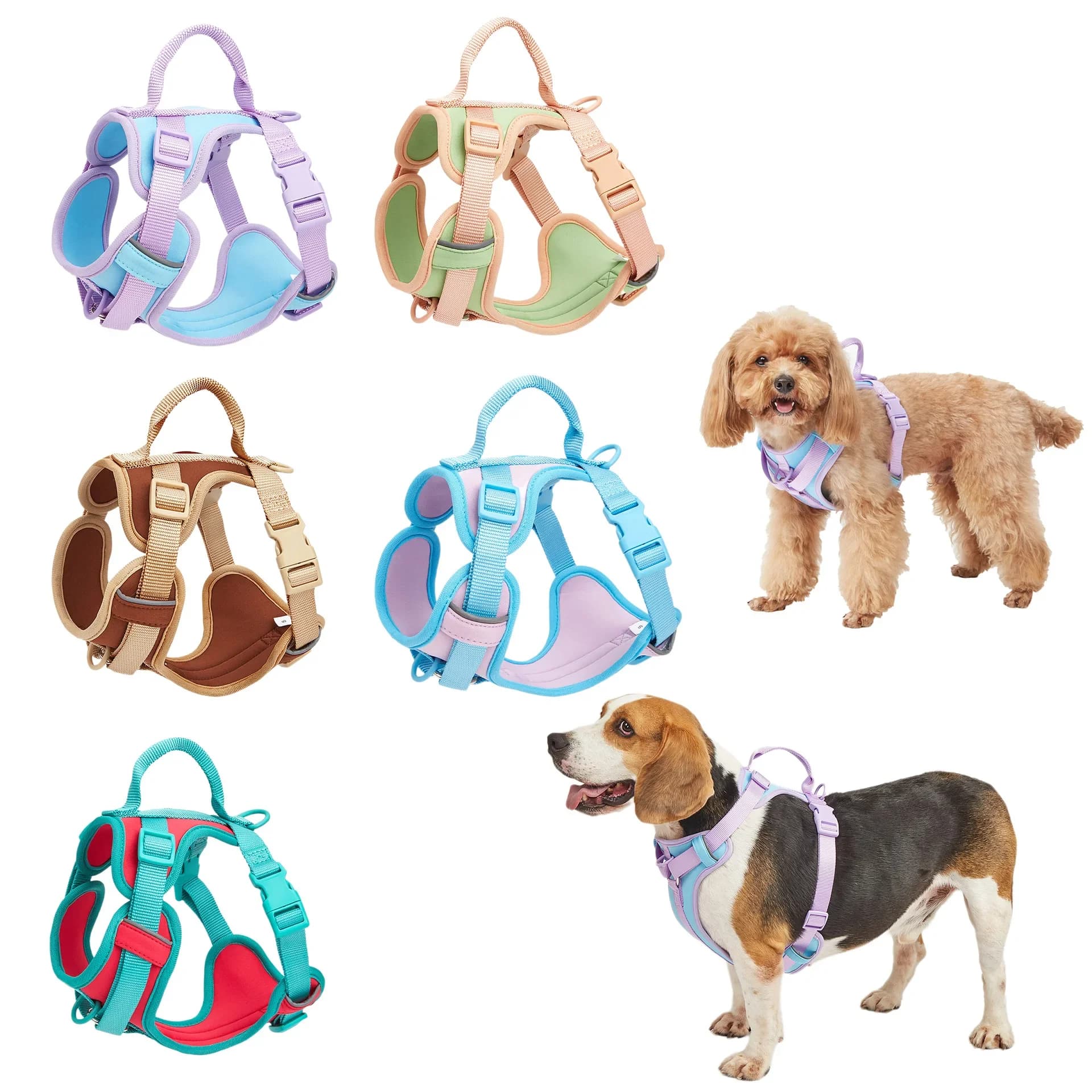Set collare e guinzaglio per cani in neoprene con dispenser Pettorina per cani morbida e regolabile Guinzaglio abbinato impermeabile