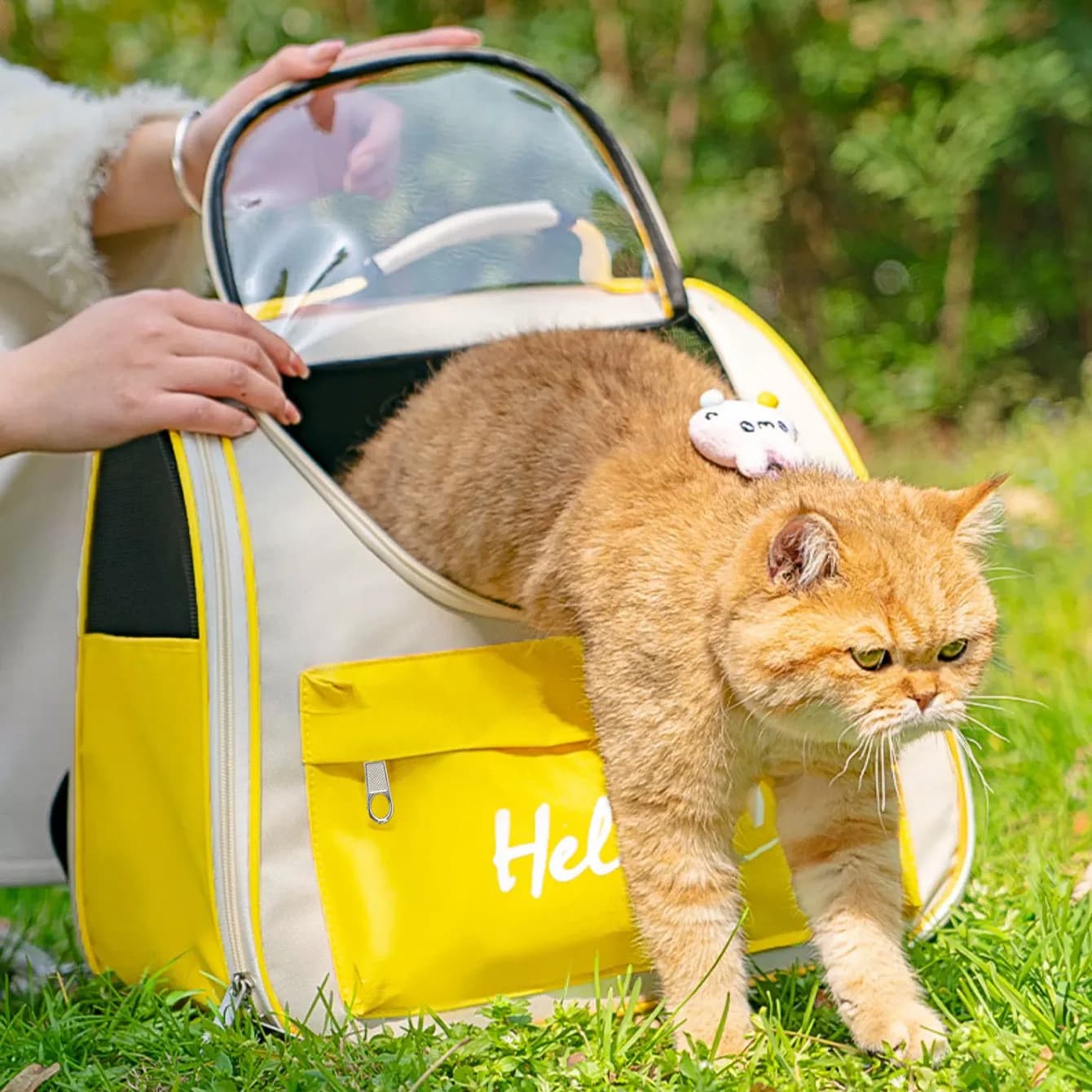 Zaino trasparente per gatti, borsa da viaggio per animali domestici con capsula spaziale per cani e gatti, grande gabbia per cuccioli traspirante anti-sole