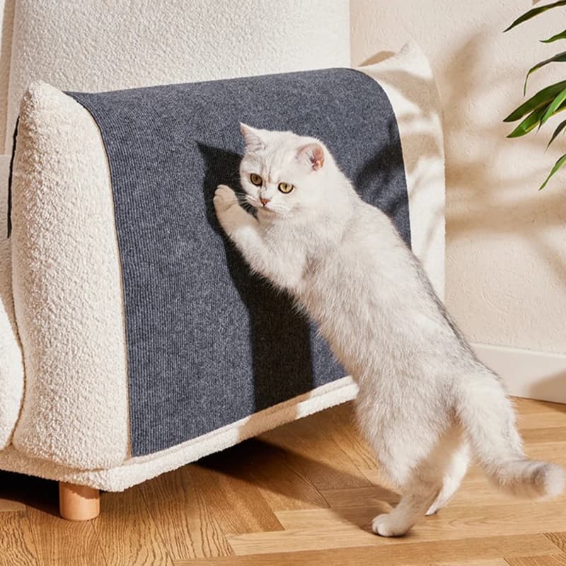 Cat Scratch Sofa Protection Pads trimmerabile autoadesivo Anti Cat Scratch tappeto Pad Pet Toys sedia divano mobili Protector