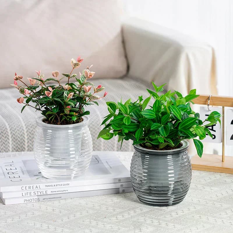 Vasi per Piante Autoirriganti con Assorbimento Automatico dell'Acqua, Vaso per Fiori Trasparente a Doppio Strato, Decorazioni per la Casa in Plastica, 1 Pezzo