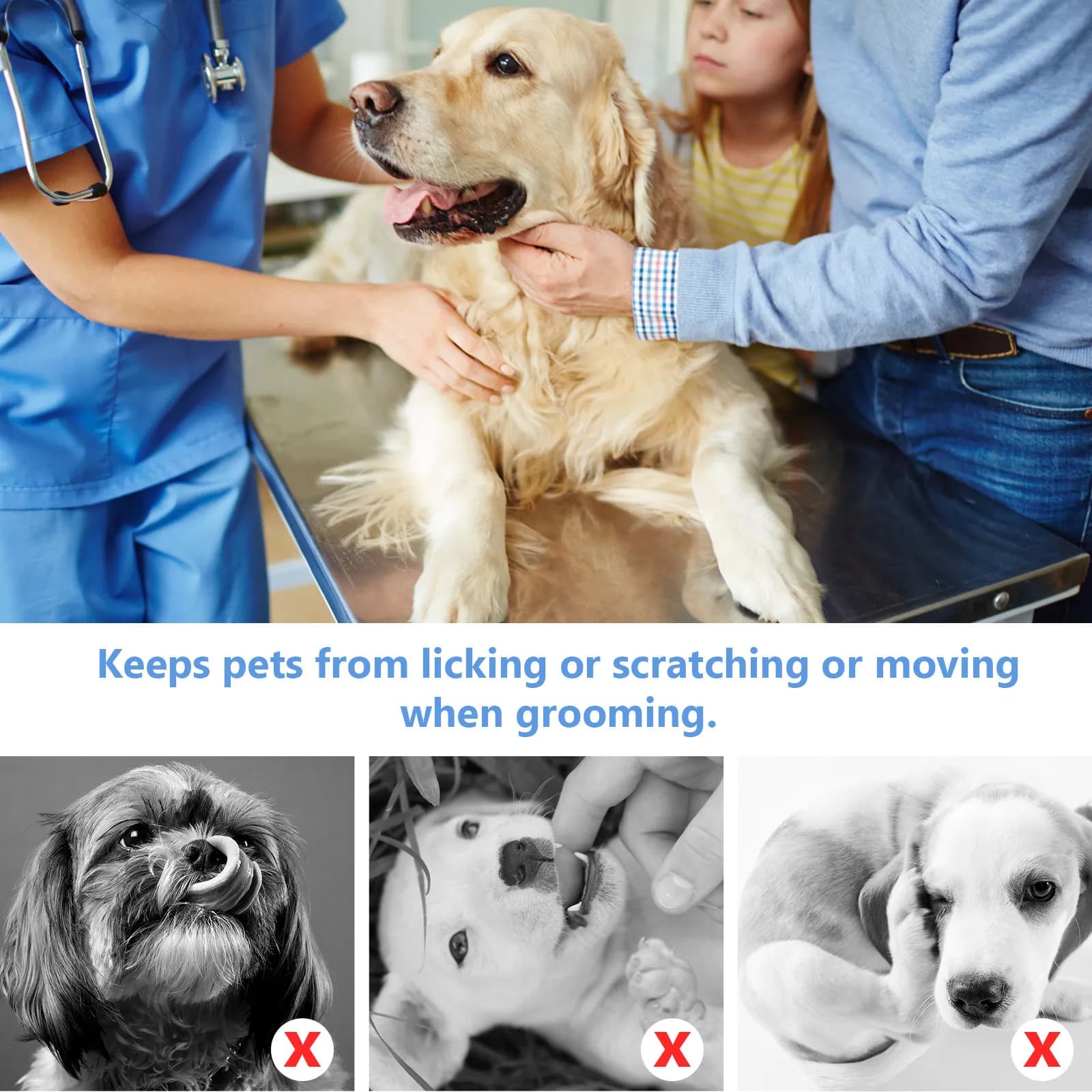 Set Professionale per Toelettatura Animali Domestici: Amaca con Telaio in Acciaio Inossidabile Resistente e Rete Traspirante per il Contenimento Sicuro degli Animali Domestici a Casa