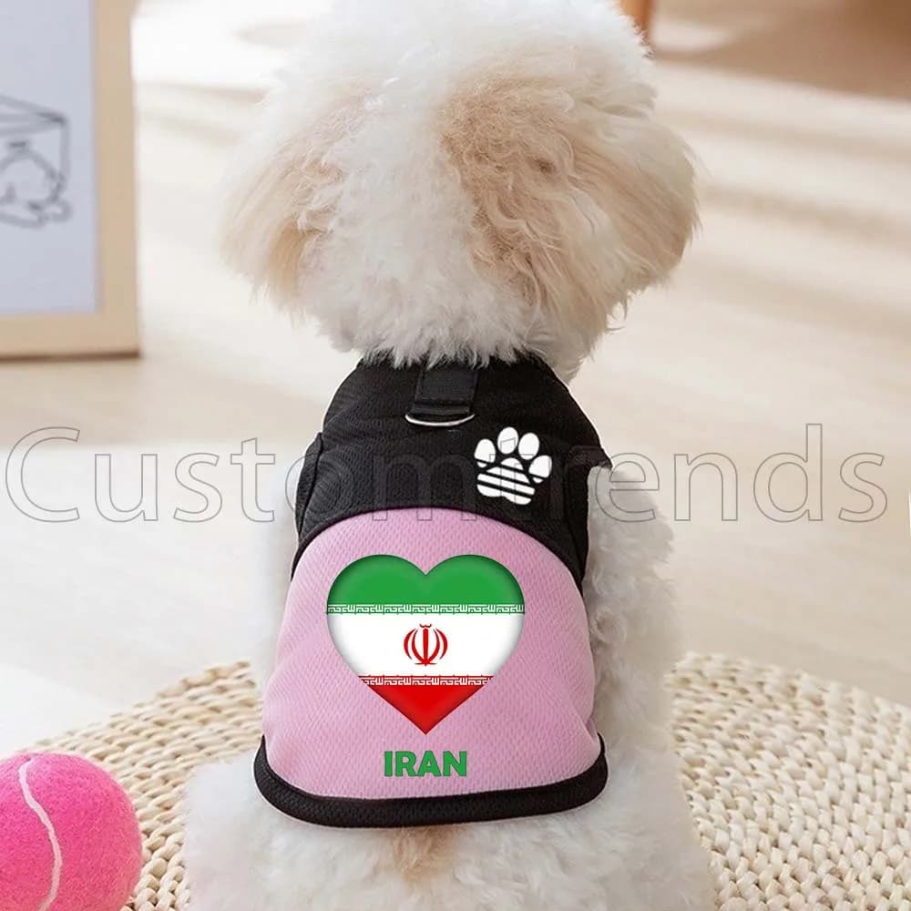 Pettorina a rete con bandiera a cuore dell'Iran per cani e gatti, vestiti per gattini, gilet primaverili ed estivi con zampa carina e anello a D per guinzaglio