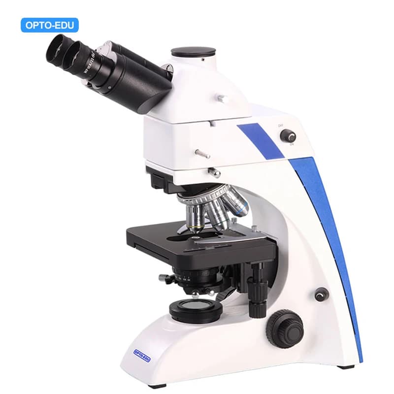 OPTO-EDU A16.2603-NL-1 40-1000X BG Microscopio a fluorescenza alogena con luce di trasmissione trinoculare 6V30W