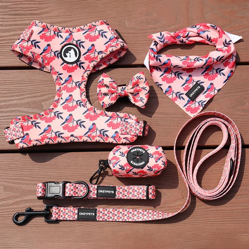 OKEYPETS Set Personalizzato per Cuccioli: Guinzaglio, Collare Regolabile, Sacchetto per Escrementi, Bandana, Pettorina Reversibile Traspirante in Neoprene