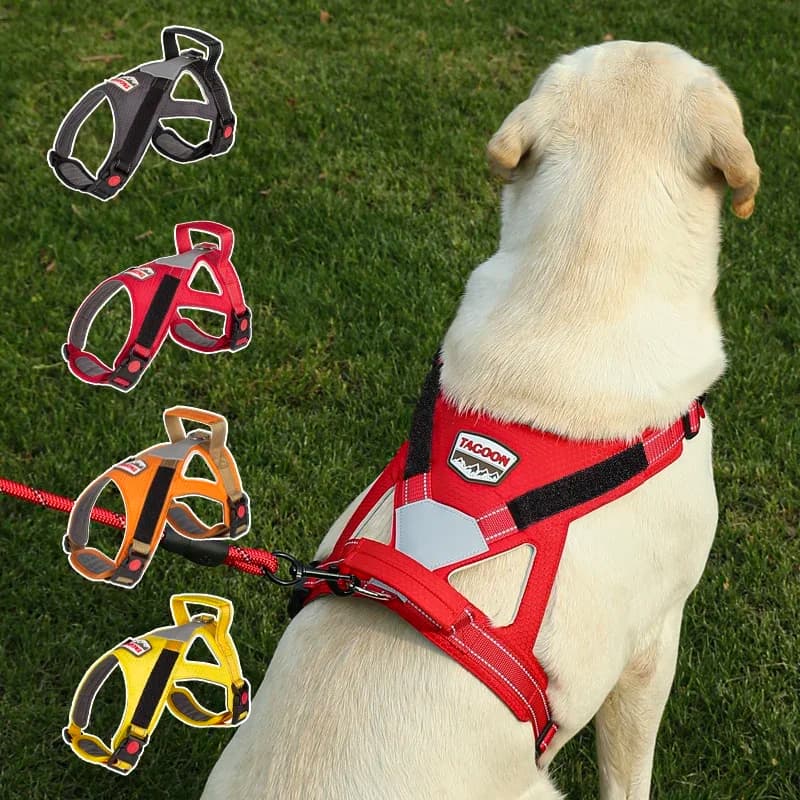 Pettorina per cani Pettorina pettorale riflettente senza tiraggio Maniglia di controllo Eazy antispiro Supporto regolabile per allenamento all'aperto