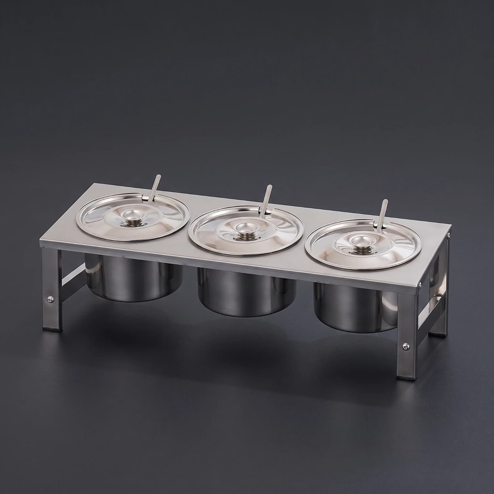 Condiment Holder with Spoons Commercial Seasoning Organizer with Pots Seasoning Box with Spoon Stainless Steel for Restaurants