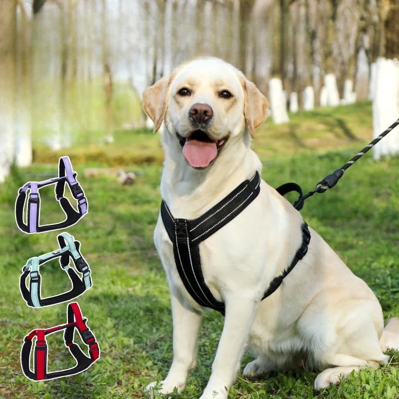 Reflective H-Shape Dog Harness with Leash, Adjustable No-Pull Pet Vest Walking Lead for Golden Retriever