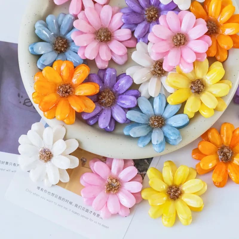 4 pieces of melon seed flowers covered in resin, diy earrings and handcrafted materials for bracelets, real multicolored flowers super heterogeneous