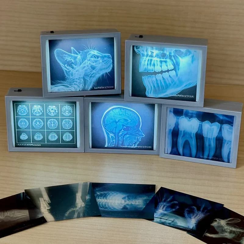 Kitan Miniatura Luminosa Scatola per Visione Raggi X Gashapon, Pellicola per Scansione CT, Micro Strumento Medico per Decorazione Casa delle Bambole