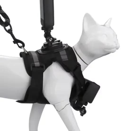 Support for Photo with Kitten, Accessory for Double Lens Camera in First Person, Black