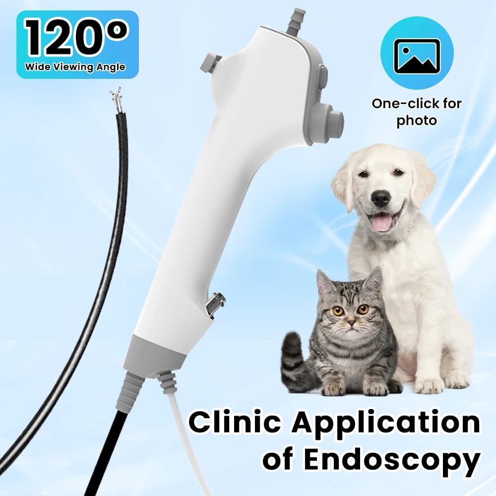 Endoscopio veterinario monouso multifunzione flessibile per urologia, cistoscopio per chirurgia animale