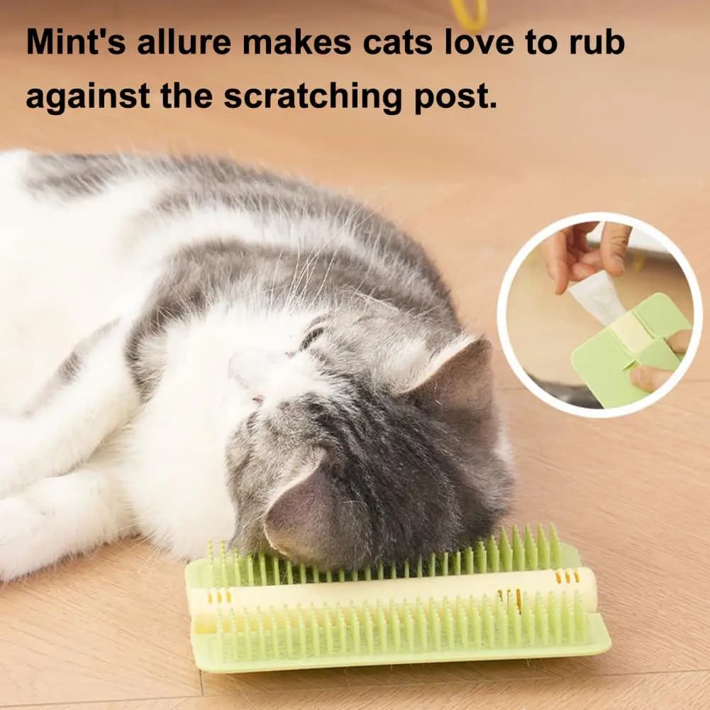 Spazzola per gatti con denti arrotondati a punta smussata, compresse di catnip integrate, supporto adesivo, strumento per la toelettatura dei gatti, attacco per mobili