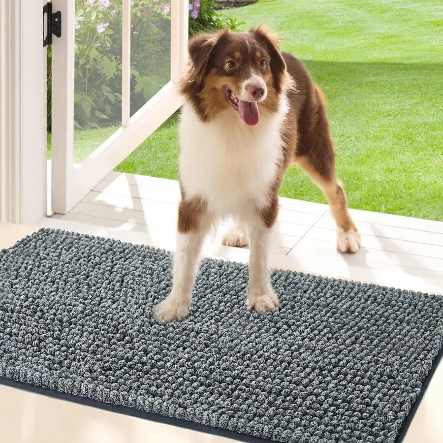 Fangose Cane Mat, Internal Belt Absorbent, Fango and Dirty Cap, Washable Washing Machine, Non-slip